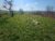 20240305_110624 (Copy)