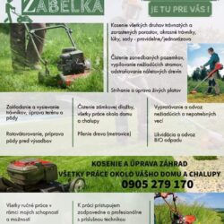 FB_IMG_1743005046548