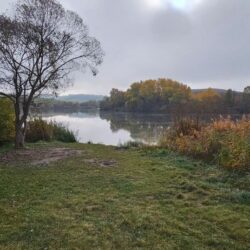 Pozemok Petrovce