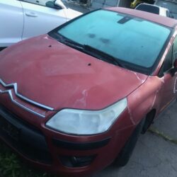Lak klasicky oprsany ako pri vacsine citroenov z tohoto roku