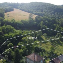 DJI_0175