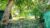 -68a04be119d970161b0eb99c