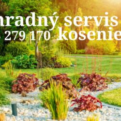 plants-and-trees-in-lawn-913476172-5be331f3c9e77c0051c87b3b_20230128205450634