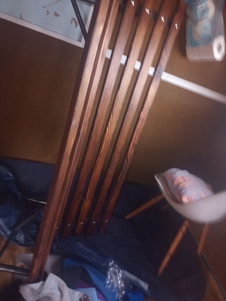 IMG_20251031_144707_321 IMG_20251031_144707_321