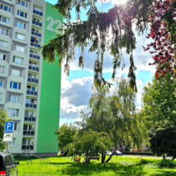 3.iz Stary malohonska