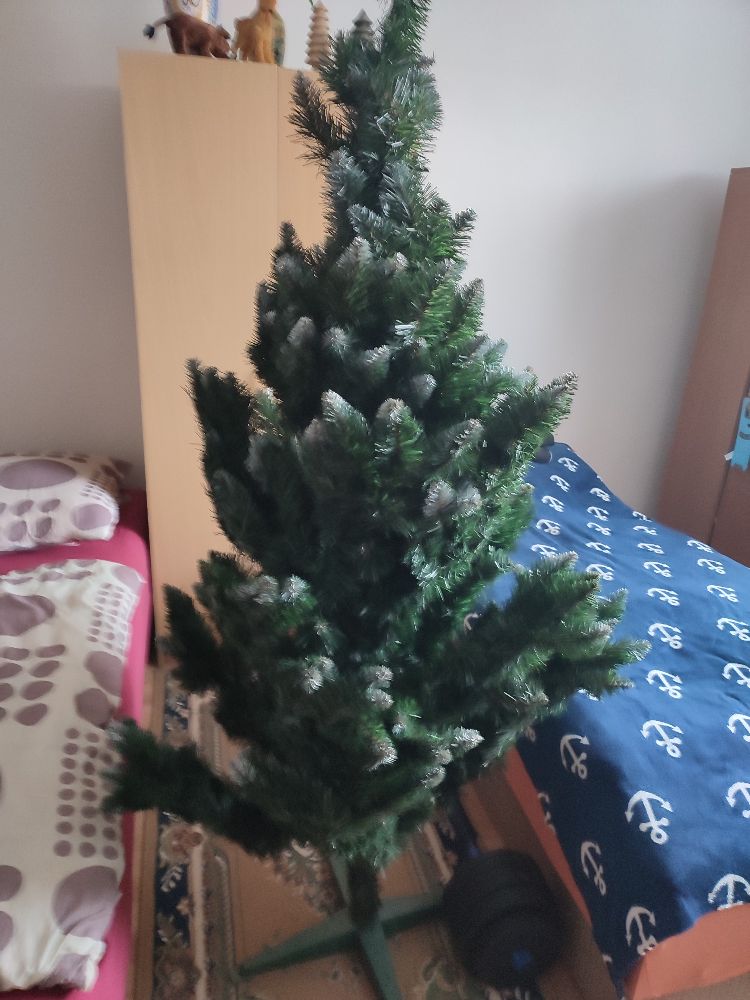 IMG_20250709_165158 IMG_20250709_165158