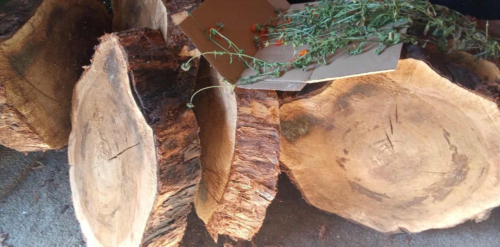 566540660_881468217676029_1027938976507920935_n 566540660_881468217676029_1027938976507920935_n