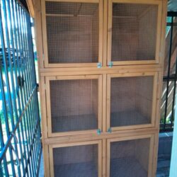 553589236_2040225986568507_6812170854012826192_n