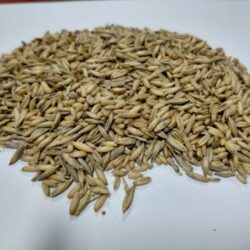 Obrázok WhatsApp 2025-11-03 o 08.20.29_a644187b