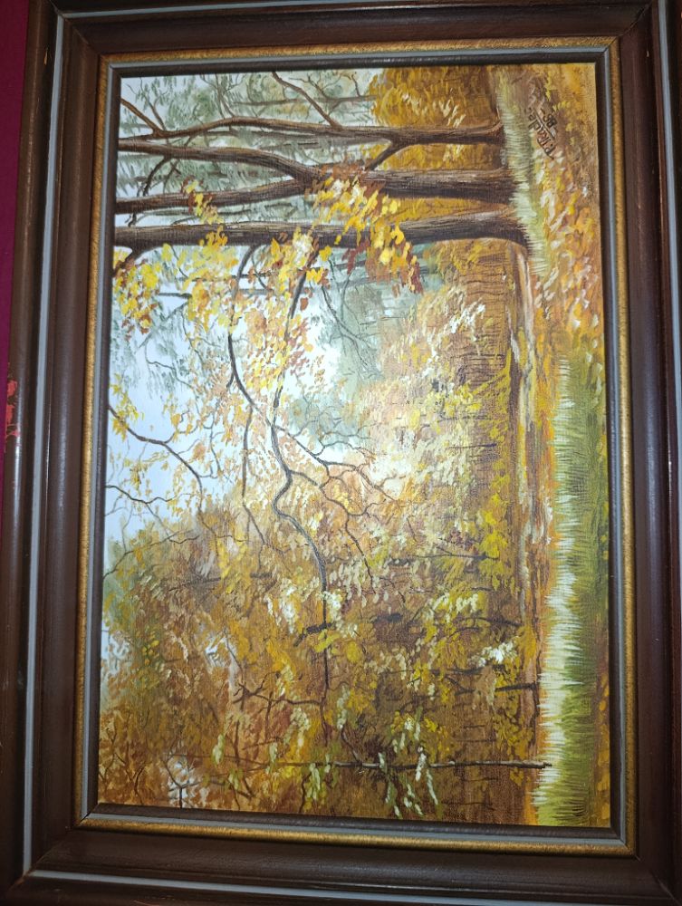 1000000675 1000000675