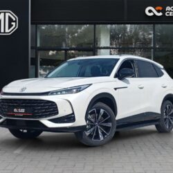 LSJW94391SG025077_01