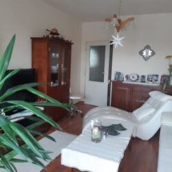 FB_IMG_1771481213194