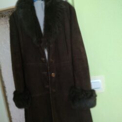 IMG_20260212_094204100_HDR (1)