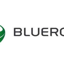 bluergo ikona