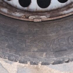 IMG_20260215_115035503