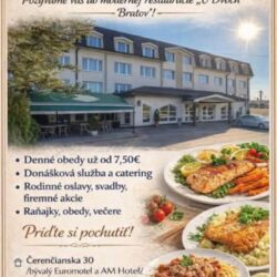 Reštaurácia ,,U bratov,,