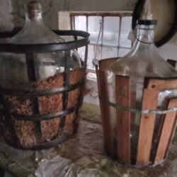 IMG_20260207_111438_408