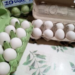 490c6cfd-88fe-4c56-bb60-ff9b555c9793-1_all_2443