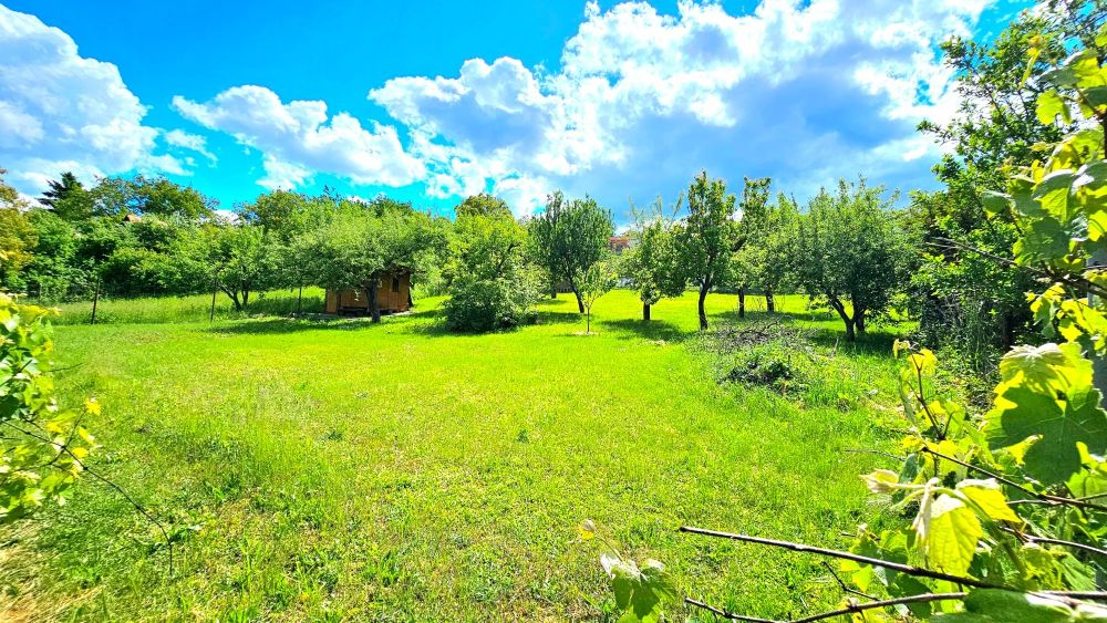 VINICA VINICA