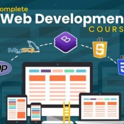 web-developer