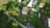 DJI_0282