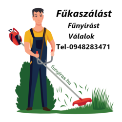 1681824340643e9a542a9cd_700x (2)