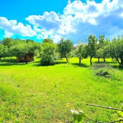VINICA