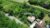 3_bg