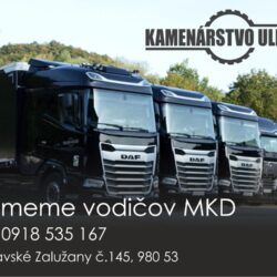 kamionista
