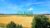 9181751014943527-685e5e200377fb7360712a0a