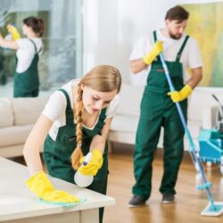 cleaner