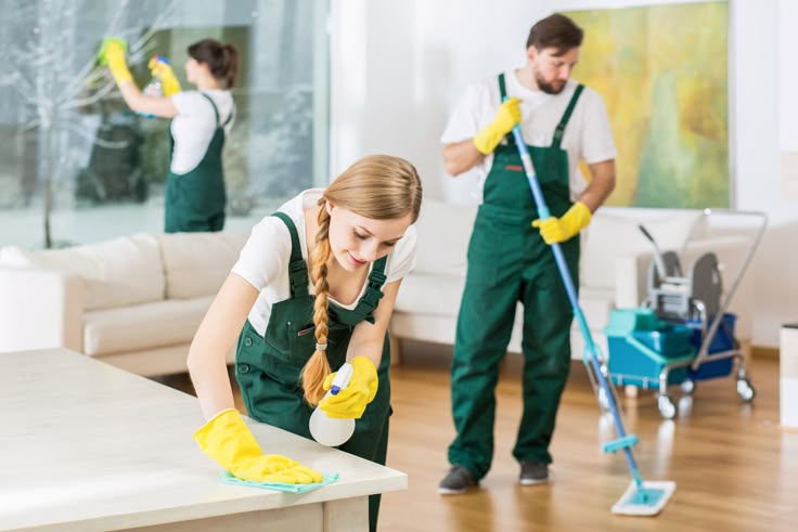 cleaner cleaner