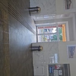 1000067717