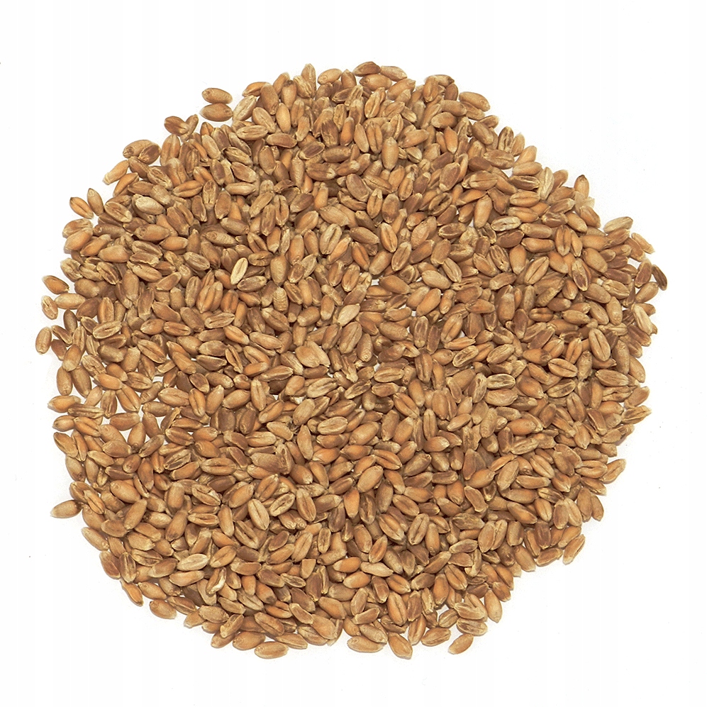 Psenica-10-kg Psenica-10-kg