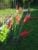 IMG-20260804-WA0023