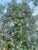 IMG_20260928_172748_248